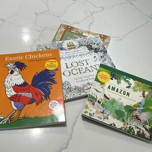 Set of 4 adult coloring books